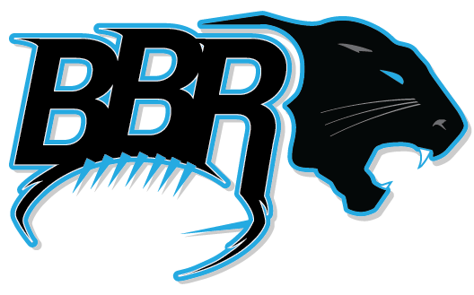 Carolina Panthers News and Coverage for the Digital Age
